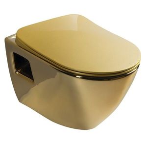 SAPHO PAULA závěsná WC mísa, 35, 5x50cm, zlatá TP325-AK00 obraz