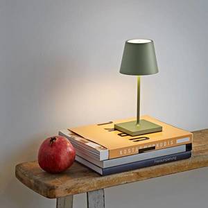 Sigor Nuindie mini LED dobíjecí stolní lampa, kulatá, USB-C, šalvějově zelená obraz
