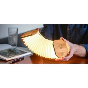 Rozkládací světlo "Harmonika", bambusové dřevo - Gingko obraz