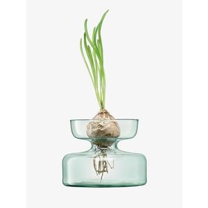 Váza/skleněný květináč, výška 10 cm, čirý - LSA International obraz