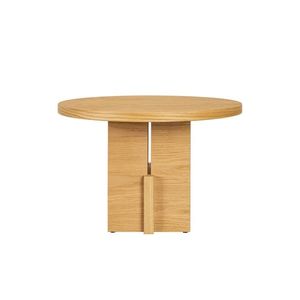 Konferenční stolek BARDI, více variant - Hobby Flower Barva: přírodní dub, matný obraz