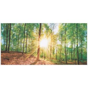 Euroart OBRAZ NA PLÁTNĚ, stromy, 115/55/3 cm obraz