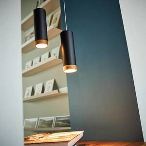 Domus Závěsné svítidlo LED PHEB, černá/dubová barva obraz