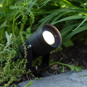 Markslöjd Zahradní 24 LED reflektor, černý, 15 wattů obraz