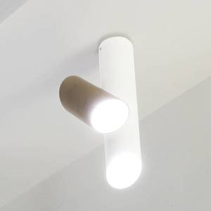 NEMO Stropní svítidlo Nemo Tubes LED dvoudílné bílé/šedé obraz