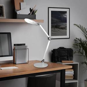 Briloner Stolní lampa LED Office, stříbrná, CCT obraz