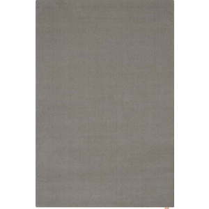 Šedý vlněný koberec 240x340 cm Calisia M Smooth – Agnella obraz