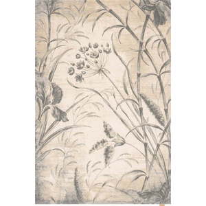 Krémový vlněný koberec 300x400 cm Botany – Agnella obraz