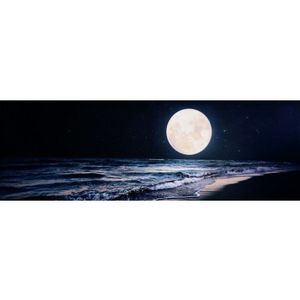 Obraz na plátně Noční krása, 150x50 cm obraz