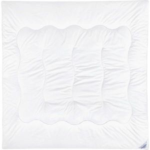 Sleeptex PŘIKRÝVKA, 200/200 cm, polyester - bílá obraz