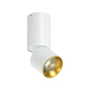 LED Stropní bodové svítidlo LED/10W/230V obraz