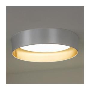 - LED Stropní svítidlo ROLLER LED/24W/230V stříbrná/zlatá obraz