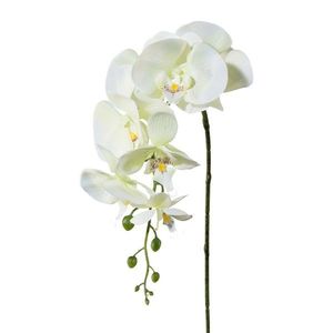 Umělá Orchidej bílá, 86 cm 305303-50 obraz
