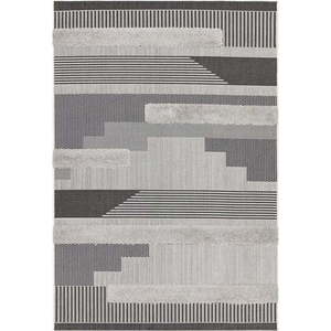 Šedý venkovní koberec 200x290 cm Monty – Asiatic Carpets obraz