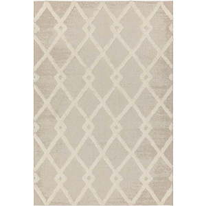 Krémový venkovní koberec 160x230 cm Monty – Asiatic Carpets obraz
