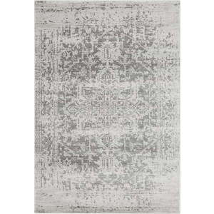 Šedý koberec 160x230 cm Nova – Asiatic Carpets obraz