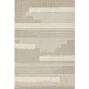 Krémový venkovní koberec 200x290 cm Monty – Asiatic Carpets obraz