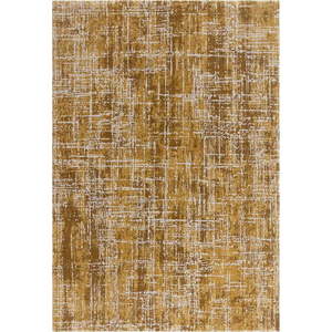 Koberec v hořčicové barvě 200x290 cm Kuza – Asiatic Carpets obraz