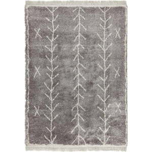 Šedý koberec 200x290 cm Rocco – Asiatic Carpets obraz