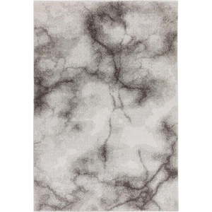 Šedý koberec 120x170 cm Dream – Asiatic Carpets obraz