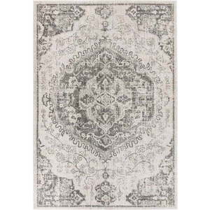 Šedo-krémový koberec 120x170 cm Nova – Asiatic Carpets obraz