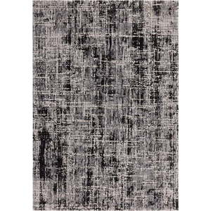 Šedý koberec 120x170 cm Kuza – Asiatic Carpets obraz