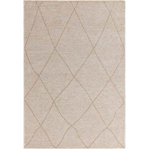 Krémový koberec s příměsí juty 200x290 cm Mulberrry – Asiatic Carpets obraz