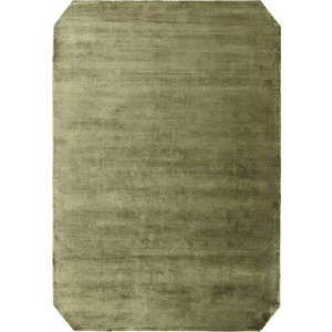 Zelený ručně tkaný koberec 200x290 cm Gleam – Asiatic Carpets obraz