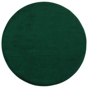 TKANÝ KOBEREC, 120 cm, zelená obraz