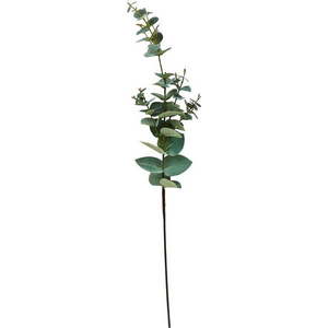 Umělý eukalyptus (výška 71 cm) Kvist – Villa Collection obraz