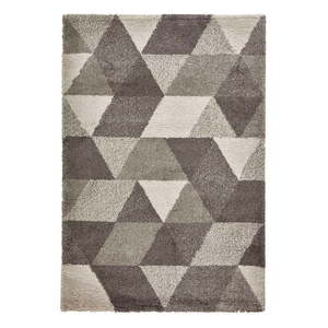 Šedý koberec Think Rugs Royal Nomadic Grey, 160 x 220 cm obraz