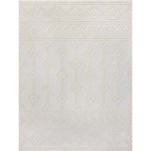 Krémový koberec z žinylky 160x240 cm Shyla – Flair Rugs obraz