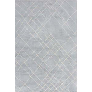 Světle šedý pratelný koberec 160x230 cm Alisha – Flair Rugs obraz
