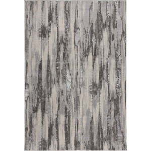Šedý koberec 80x150 cm Gleam – Flair Rugs obraz