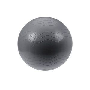 XQ Max Pomůcka na cvičení Yoga Ball pr. 65 cm, stříbrná obraz