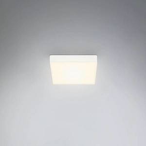 Briloner Stropní svítidlo LED Flame, 15, 7 x 15, 7 cm, bílé obraz