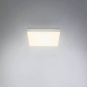 Briloner Stropní svítidlo LED Flame, 21, 2 x 21, 2 cm, stříbrné obraz