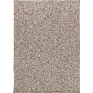 Šedo-béžový koberec 200x290 cm Petra Liso – Universal obraz