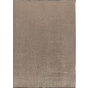 Hnědý koberec z mikrovlákna 160x220 cm Coraline Liso – Universal obraz