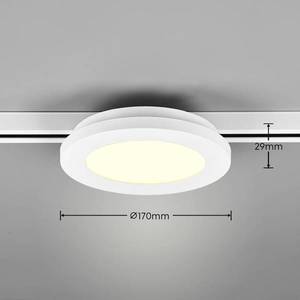 Trio Lighting LED stropní svítidlo Camillus DUOline, Ø 17 cm, bílé obraz