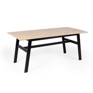 Hector Jídelní kaučukový stůl Lingo obdélníkový hnědý/černý obraz