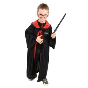 Rappa Dětský kouzelnický plášt s kapucí a brýlemi obraz