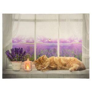 86701 Nástěnná malba kočka na okně, 1 LED, 30 x 40 cm obraz