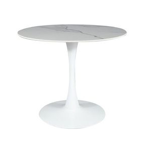Signal Jídelní stůl ESPERO Barva: bílá / mramorový efekt bílá obraz