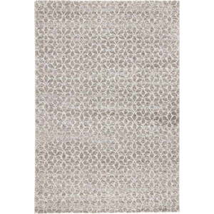 Šedý koberec Mint Rugs Impress, 200 x 290 cm obraz