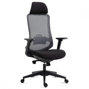 Kancelářská židle KA-V322, Kancelářská židle KA-V322 obraz