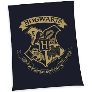 Herding Dětská deka Harry Potter Hogwarts, 150 x 200 cm obraz