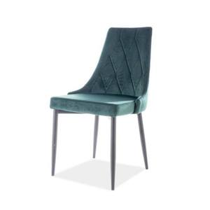 Jídelní židle TRAX zelená/černá obraz