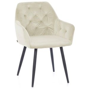 HOMEDE Designová židle Argento krémová, velikost 61x44x90 obraz