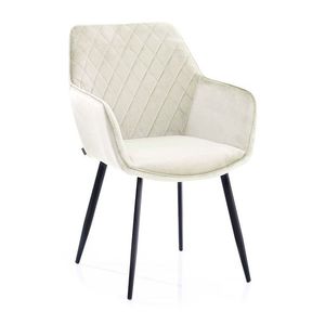 HOMEDE Designová židle Vialli krémová, velikost 60x42x84 obraz